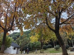 -灵岩山风景区