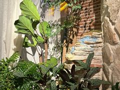 -叶叶菩提·晋福宫