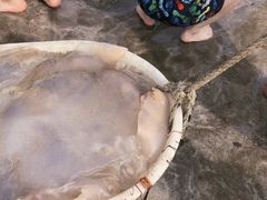 -嵊泗基湖沙滩