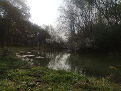 -昆山城市生态森林公园