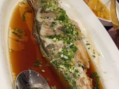 -沪碟·精菜坊(闵行店)