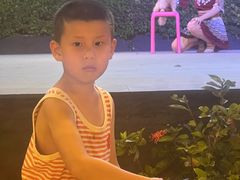 -渔家火锅·海鲜自助餐·演艺(亚龙湾天域酒店)