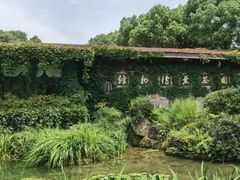 -中国茶叶博物馆(双峰馆区)