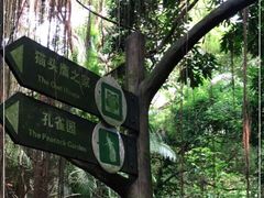 -青青世界
