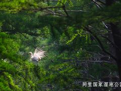 -同里国家湿地公园