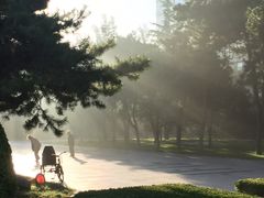 -北京邮电大学
