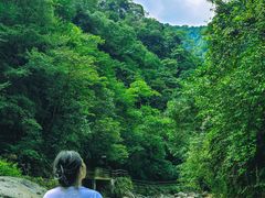 -西岭雪山大飞水景区