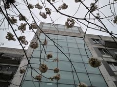 -北京市海淀区翠微小学