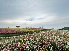 -径山花海