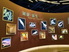 -香港科学馆