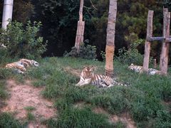 -大连森林动物园