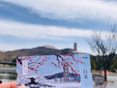 -牛首山文化旅游区