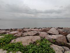 -深圳湾公园(南山区)