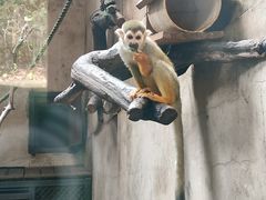 -沈阳森林动物园