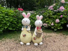 -上海共青森林公园