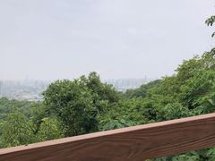 -杭州半山国家森林公园