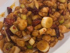 -付掌柜在成都·热炒砂锅集(金禾店)