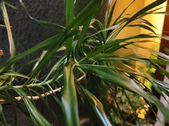 -世博源公馆·本帮融合菜·主题包厢·江景餐厅