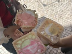 -柠檬车露(卖草地店)