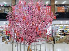 -紫荆城食品交易中心(华强北店)