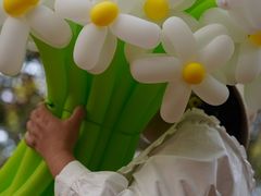 -蜀冈西峰生态公园