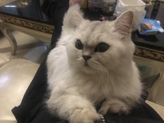 -优衣库(重庆万象城店)