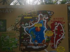 -清迈夜间动物园