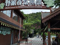 -野象谷景区