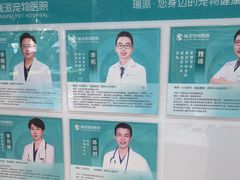 -瑞派中心宠物医院·CT·核磁·神经专科