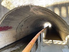 -白水寺森林公园