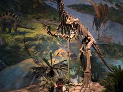 -自贡恐龙博物馆