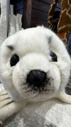 -IMON·HANSA潮玩玩偶毛绒玩具(通州万象汇店)