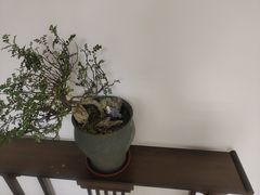 -满镒财税·注册公司·代理记账(徐汇店)