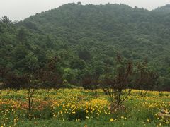 -武汉姚家山旅游景区