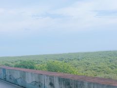 -北海金海湾红树林生态旅游区