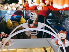 -柴犬高等学院·狗咖·柴犬售卖·宠物训练