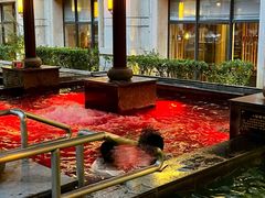 -天津瀚金佰九号温泉酒店(南楼地铁站店)