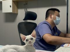 -半岛宠物医院24小时(科华中路店)