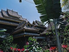 -西双版纳傣族园