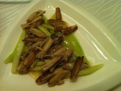 IMG_5513-新光酒家·河豚·海鲜·蟹料理(浦东店)