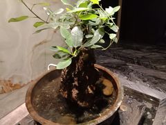-南堂館川菜文化餐厅(天府店)
