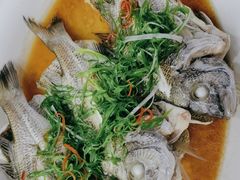 -吉森温泉养生酒店-中餐厅