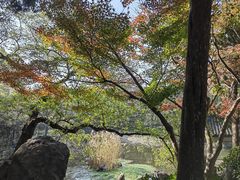 -叶家花园