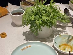 -古乐牛香鲜牛肉牛杂火锅(观前街店)