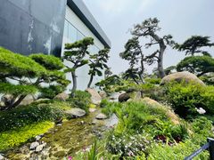 -罗红摄影艺术馆