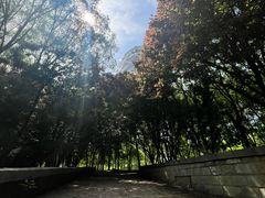 -大望京公园