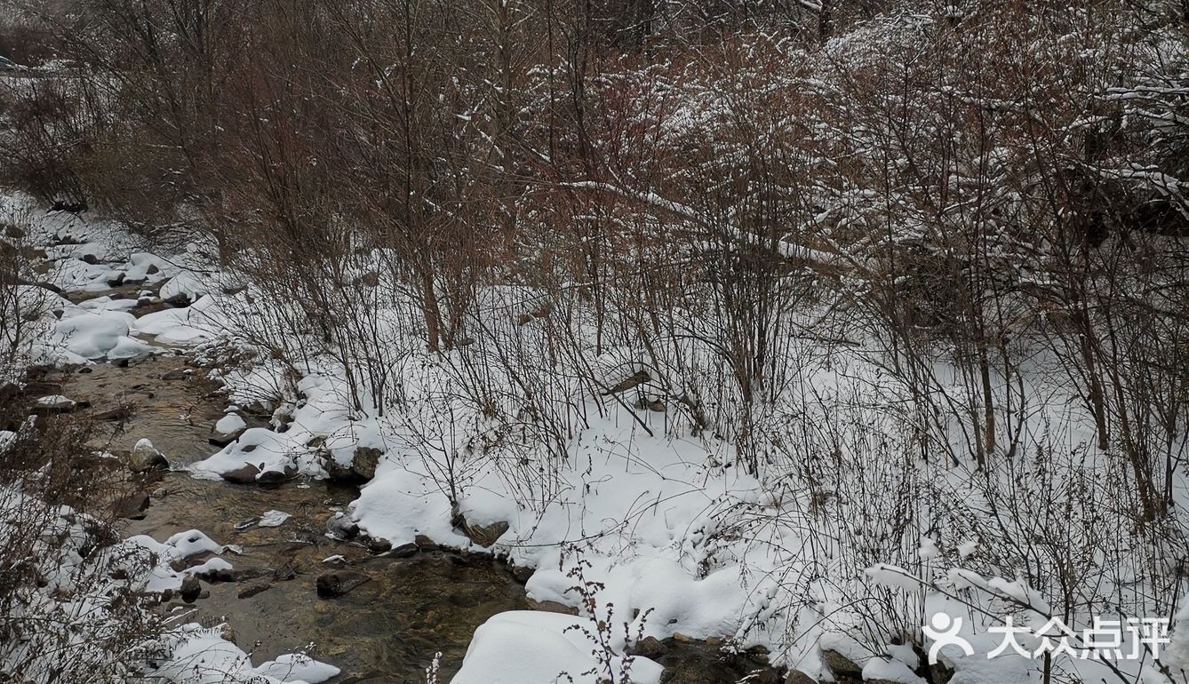 雾凇、白雪、冰挂这里都有