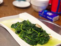 猪油渣番薯叶-福昌源食苑