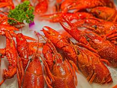 -虾乐园龙虾·夜宵(松江店)