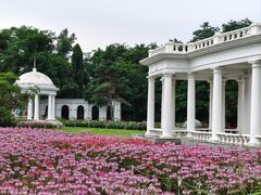 -沈阳植物园